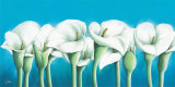 Turquoise Callas