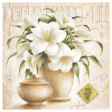 Giglio Bianco