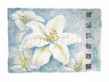 Silver Lily