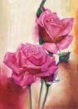 Perfume of Roses