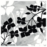 Shadow Composition
