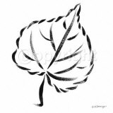 Lime-Tree Leaf