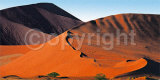 Sossusvlei Red Dunes