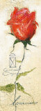 Rose Gabriella