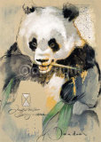 Wildlife Panda