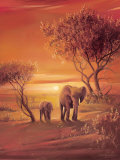 Sunset with Elephants