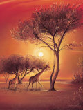 Sunset with Giraffes