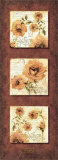 King Rose  Lavinia