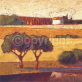 Villa Giusto