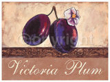 Victoria Plum