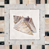 Shell Simplicity IV