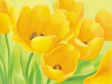 Spring Tulips