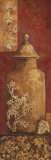 Asian Nuvo I