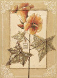 Hibiscus Abelmoschus