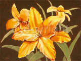 Sunshine Lilies