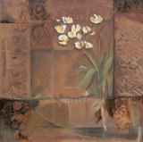 Sunbaked Orchid II