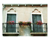 Two Ornate Doors with Geraniums