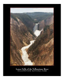 Lower Falls of the Yellowstone River