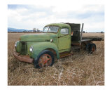 Old Green Truck - International