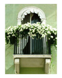 White Petunia Balcony