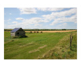 Rustic Farm Shed in Field