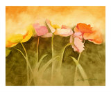 A Grace of Poppies I  Californial Poppies in Warm Red  Gold and Rose