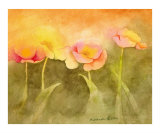 A Grace of Poppies I  Californial Poppies in Warm Red  Gold and Rose