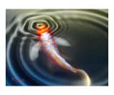 "Koi on the Surface"