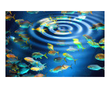 Aquarium