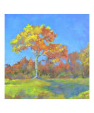 Crowning Autumn