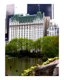 The Plaza Hotel