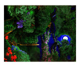 Moonlight Lanscape