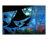 Stingrays