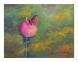 mystic butterfly