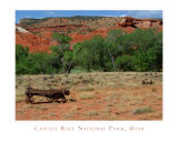 Capitol Reef National Park Farm Landscape