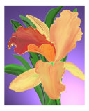 Bantham Orchid