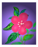 My Scarlet Pimpernel