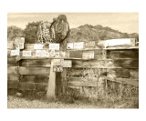 Fence of Fame