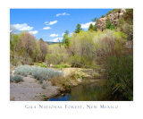 Gila National Forest