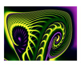 Yellow and Purple