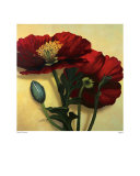 Poppies