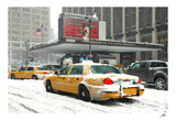 Madison Square Garden