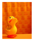 Happy Little Duckie