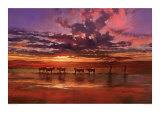 African Sunset