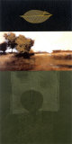 Vestige II
