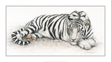 Siberian Tiger