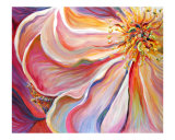 Pink Poppy