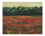 Fields Aflame