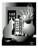 cat b&w