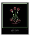 Three Roses in Green